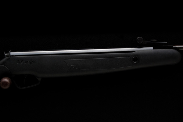 Stoegar X10 SYB W/Sights